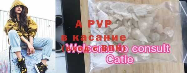 стаф Алексин