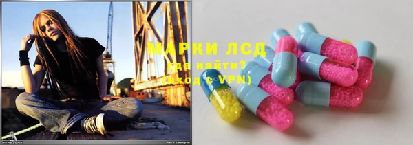 стаф Алексин
