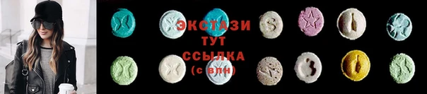 стаф Алексин