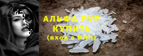 стаф Алексин