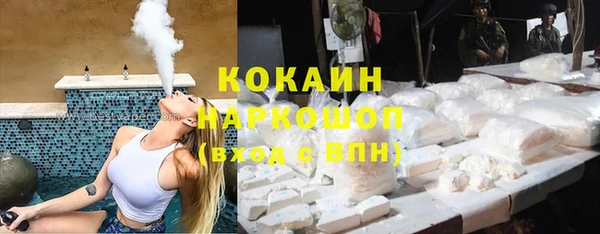 стаф Алексин