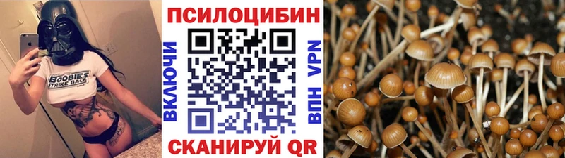 даркнет сайт  Гаджиево  Галлюциногенные грибы прущие грибы 