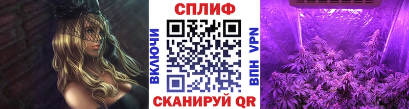 Бошки Шишки OG Kush  блэк спрут как зайти  Гаджиево 